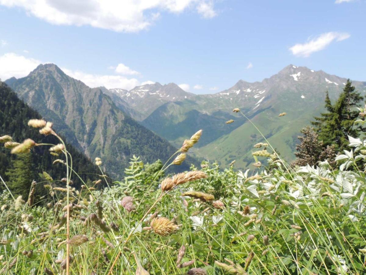 Studio Pour 4 Personnes Au Centre De Cauterets, Proche Telecabines Et Thermes - Fr-1-234-269 Dış mekan fotoğraf